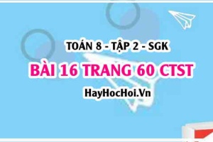 Bài 16 trang 60 Toán 8 Tập 2 Chân trời sáng tạo